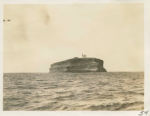 Image of Bird Rock [lighthouse]